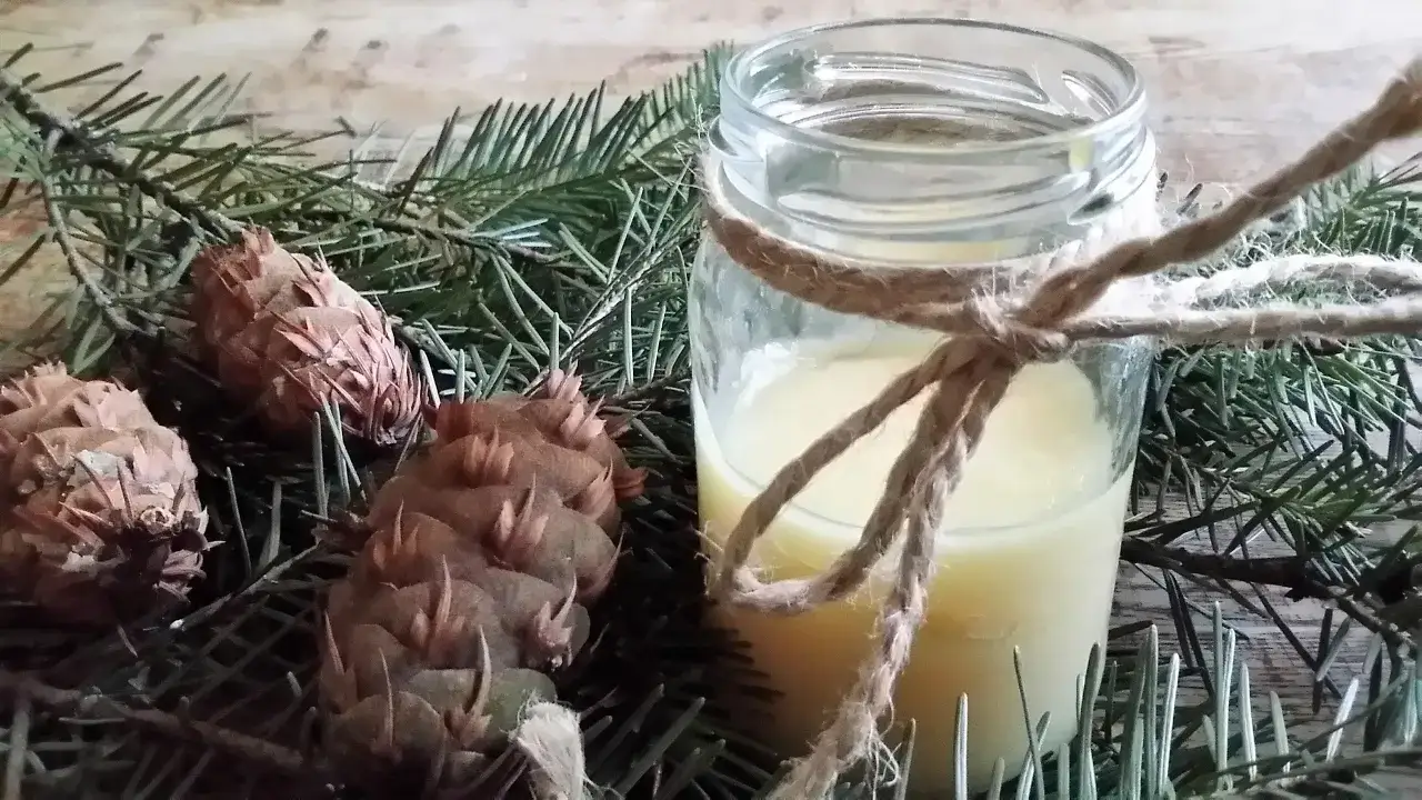 Słoik ze smalcem, gałązki świerku i szyszki na drewnianym tle.