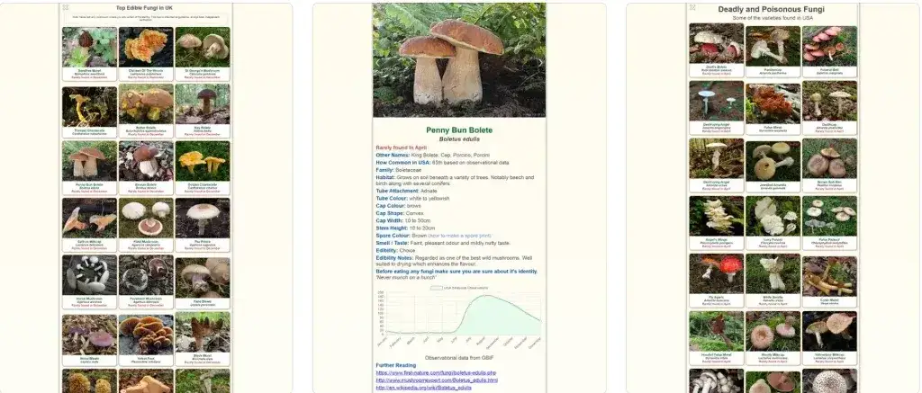 Najlepsze aplikacje do rozpoznawania grzybów – co to za grzyb aplikacja?