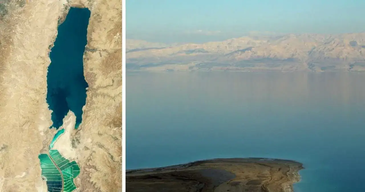 Co żyje w Morzu Martwym? Zaskakujące formy życia w ekstremalnych warunkach