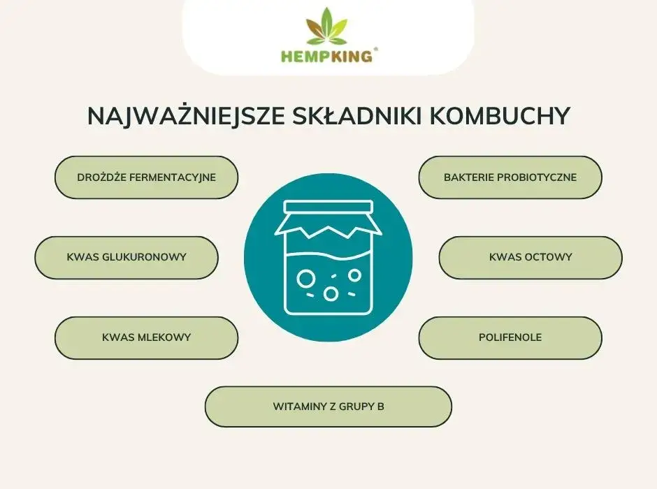 Kombucha: Jak pić bezpiecznie? Dawkowanie, pory, przeciwwskazania