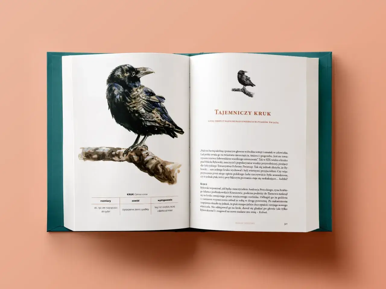 Co się dzieje w lesie książka - odkryj fascynujący świat przyrody