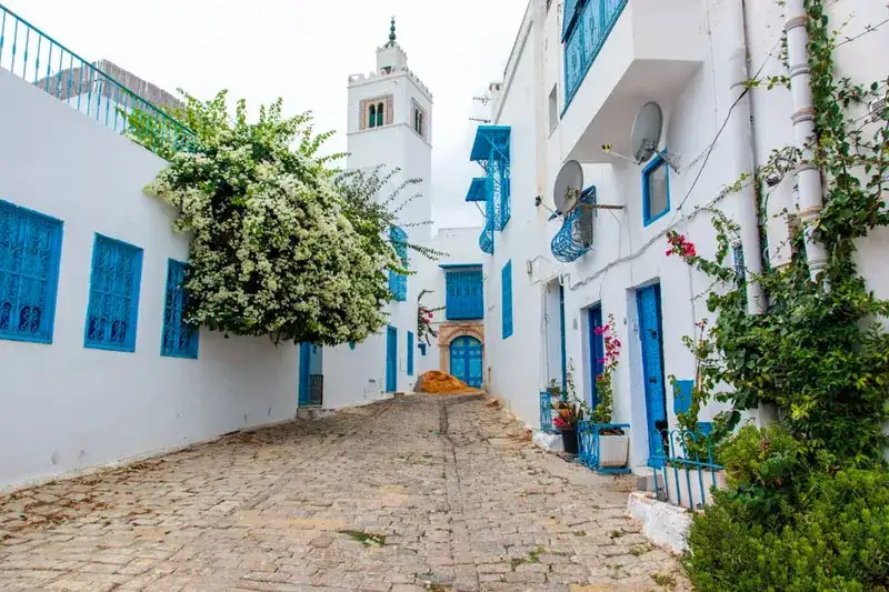 Atrakcje w Hammamet: Co zobaczyć? Przewodnik po kurorcie!