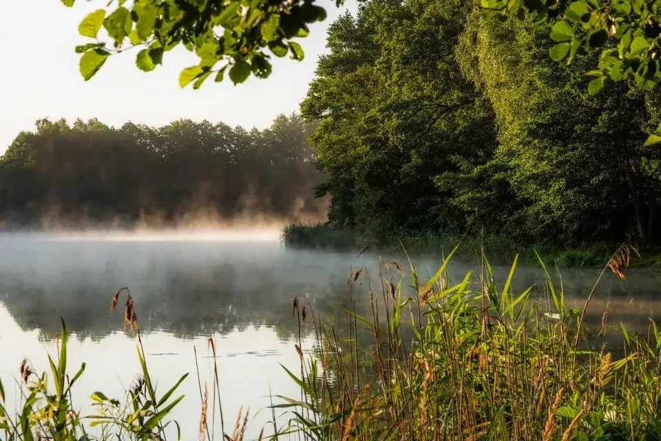 Steszewko: Najciekawsze atrakcje turystyczne w miejscowości Steszewko