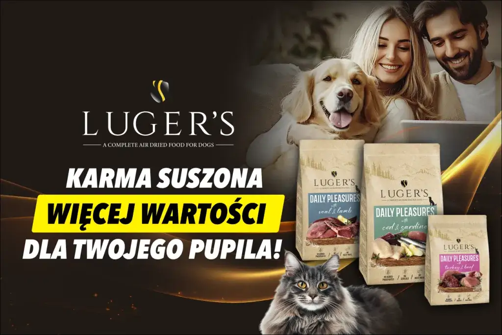 Ile suchej karmy dla psa – uniknij błędów w żywieniu pupila