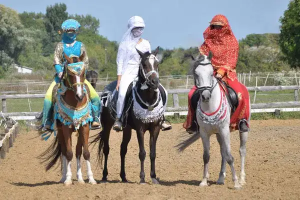 Najlepsze stadniny koni arabskich w Polsce: historia i unikalne cechy