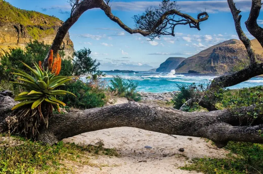 RPA kiedy jechać: najlepszy czas na niezapomnianą podróż