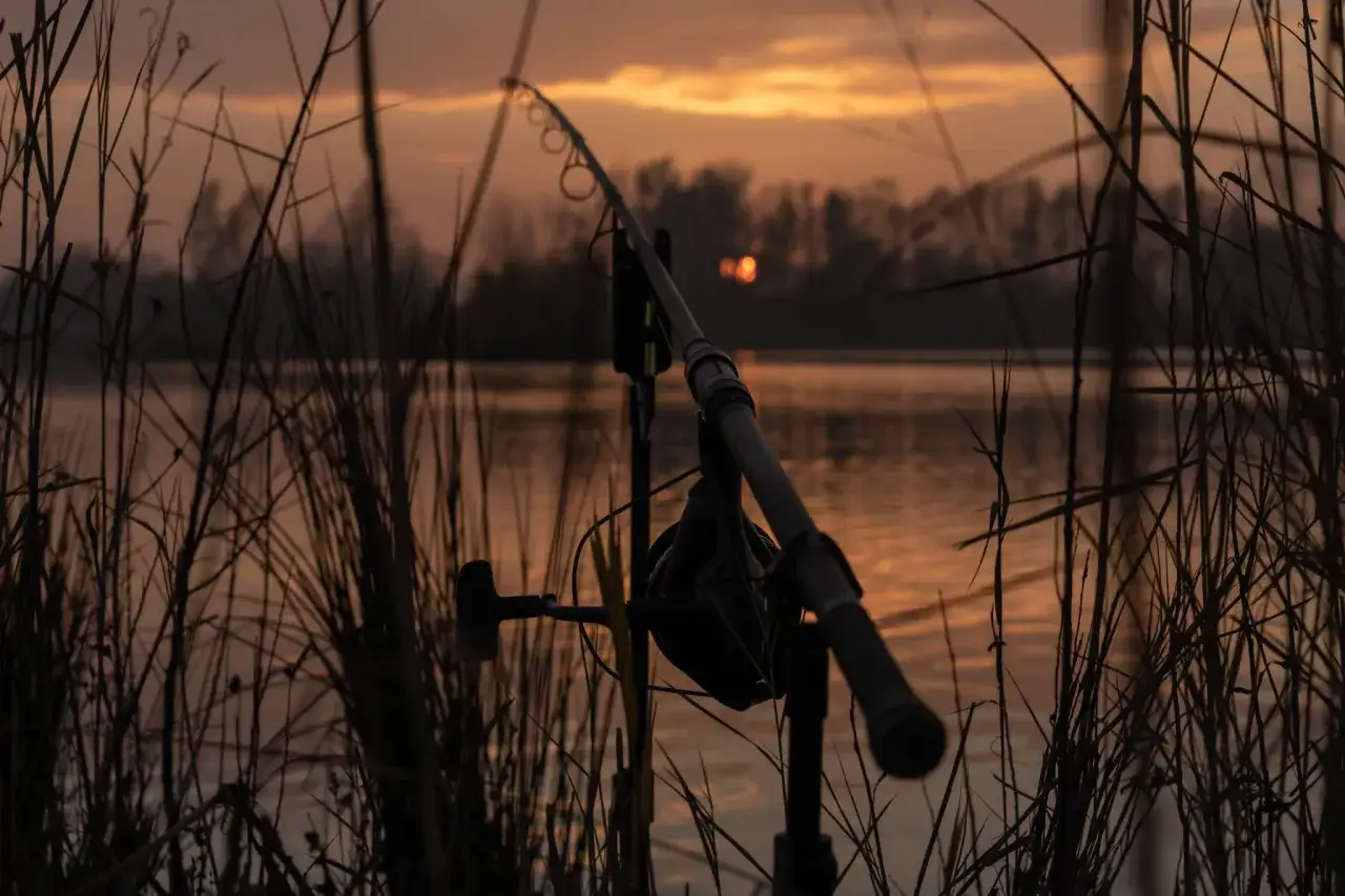 Eko Lakes Wójcina – idealne łowisko karpiowe z wyjątkowymi rybami