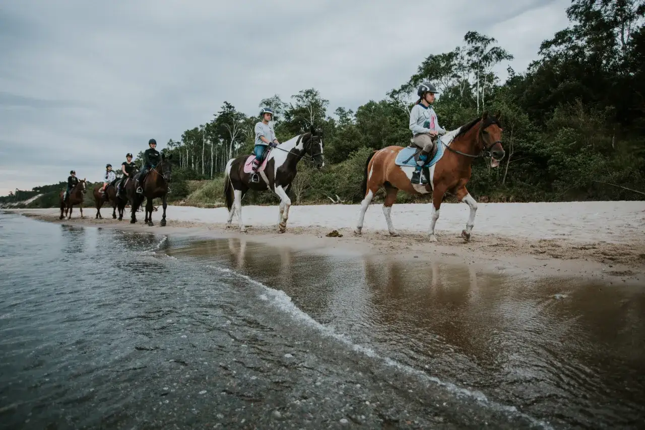 Stadnina koni Ustka - najlepsze miejsca na jazdę konną i więcej