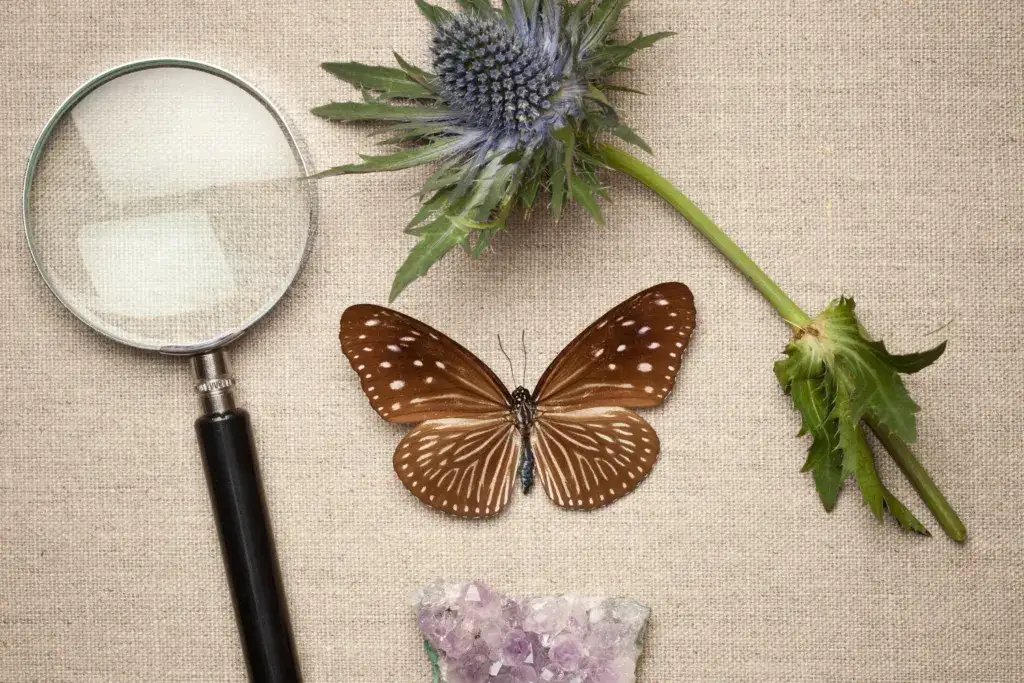 Skuteczne metody jak nauczyć się biologii i uniknąć trudności w nauce