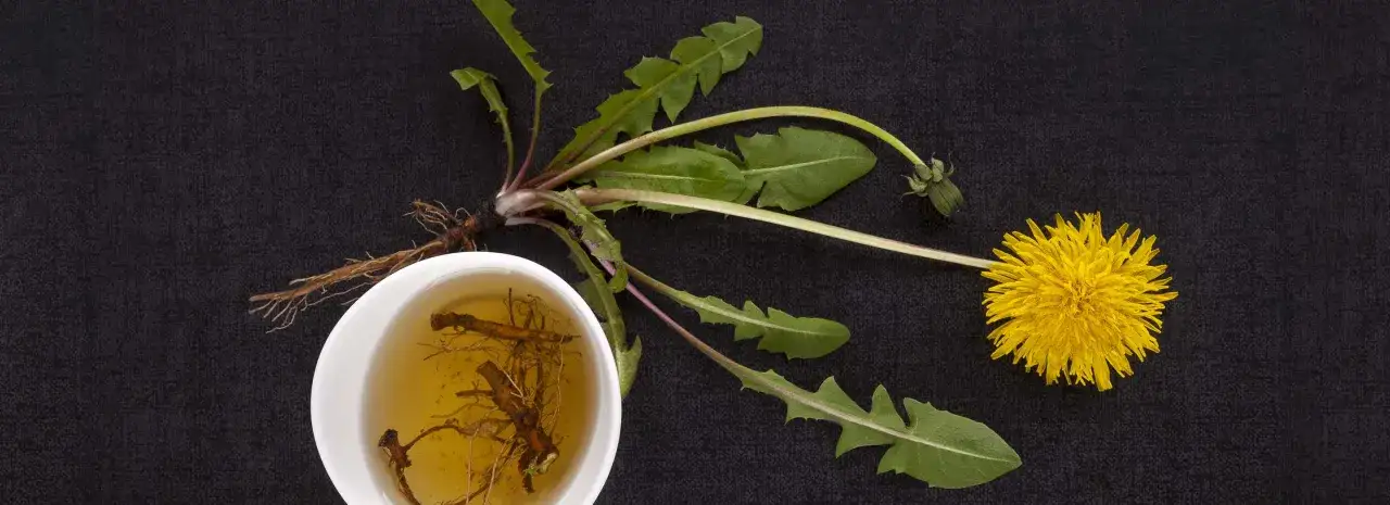 Jakie herbaty pić w czasie chemioterapii, aby czuć się lepiej?