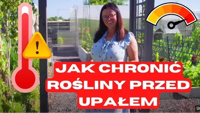 Jak chronić ogród przed erozją? Poznaj sprawdzone sposoby!