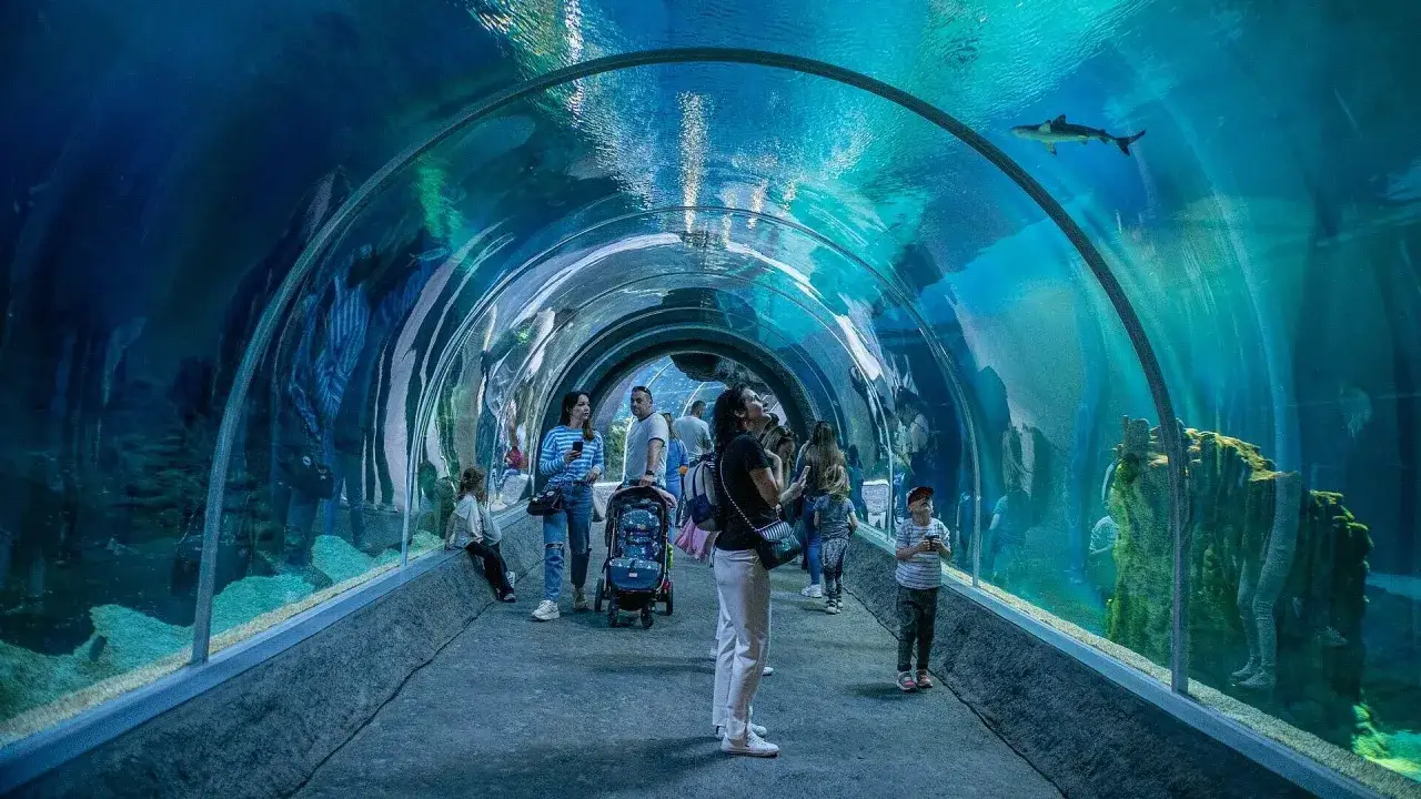 Orientarium Zoo Łódź: Twój przewodnik po cenach, godzinach i atrakcjach