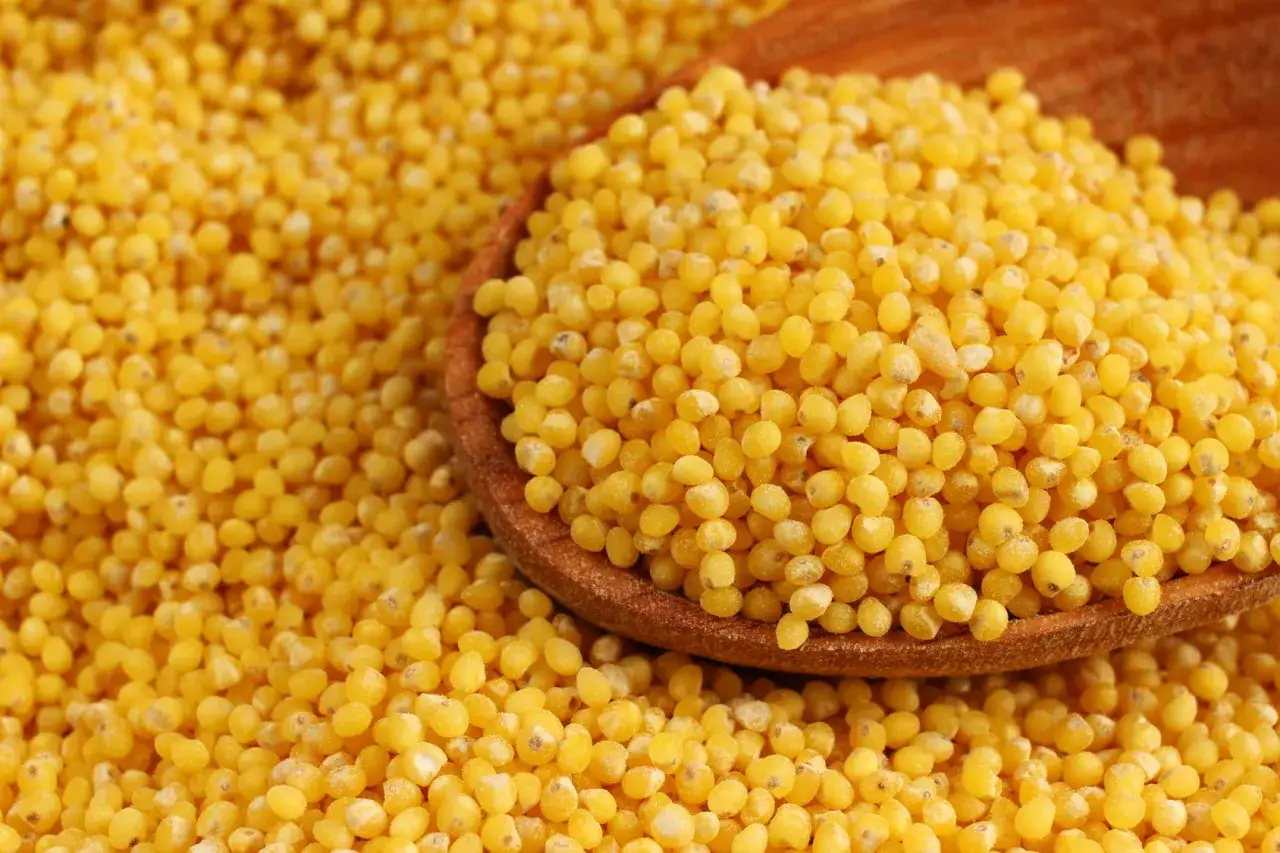 Kasza jaglana: właściwości, IG, tarczyca. Czy to superfood dla Ciebie?