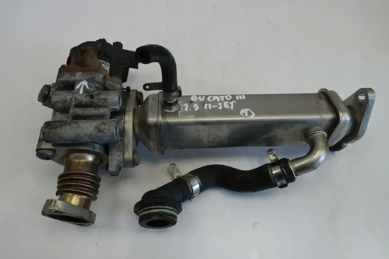 Ducato 2.2 EGR: Diagnoza, koszty i prawda o zaślepianiu