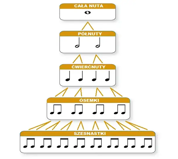 Jak wygląda cała nuta? Odkryj jej cechy i znaczenie w muzyce