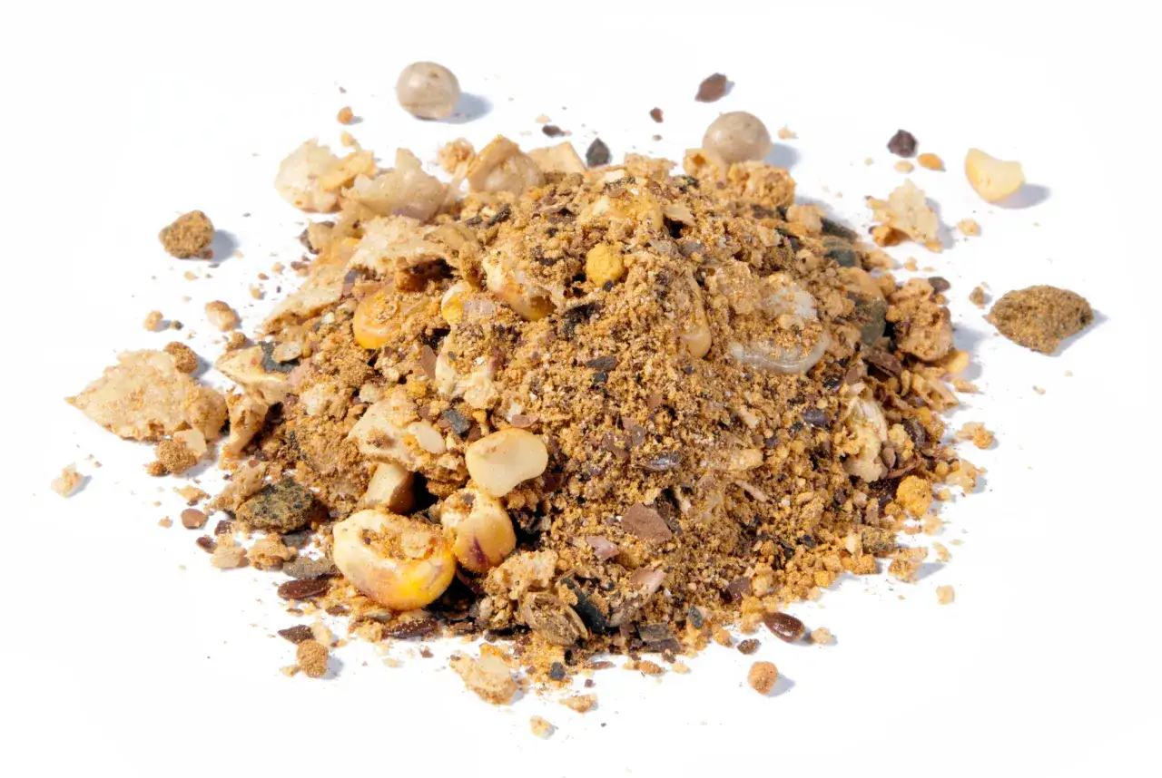 Zanęta Dragon – skuteczne wędkarskie zanęty, które przyciągną ryby