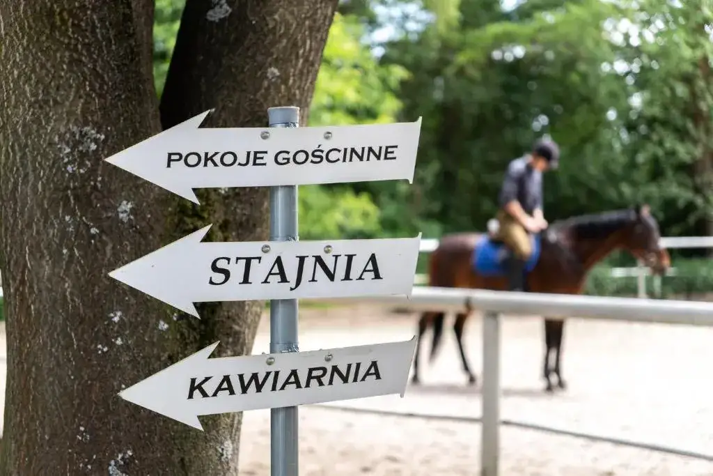 Cennik stadnin koni w Krakowie – sprawdź ceny i oferty jazdy konnej