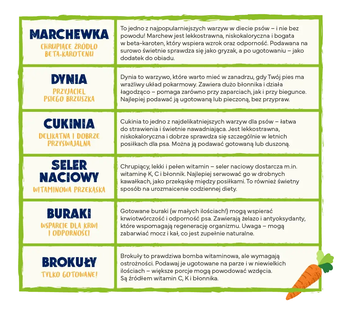 Jakie warzywa dla szczeniaka są zdrowe i bezpieczne? Kluczowe informacje