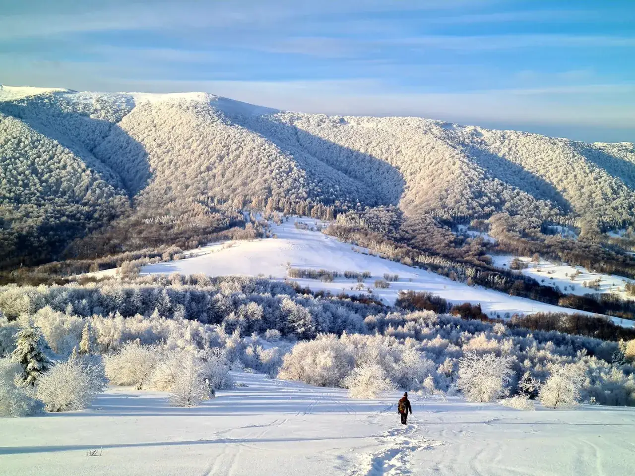 Zimowy krajobraz Bieszczad. Czy szlaki w Bieszczadach są otwarte? Jeden turysta idzie przez zaśnieżone pola w stronę gór pokrytych szronem.