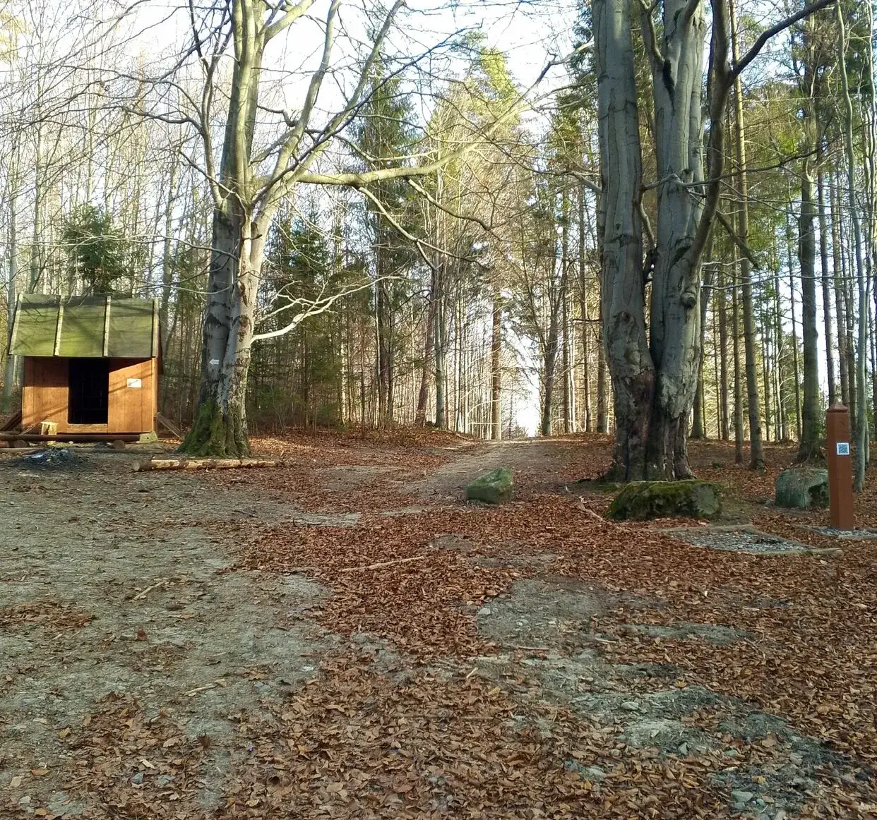 Najlepsze atrakcje w Raba Wyżnej, które zaskoczą każdego turystę