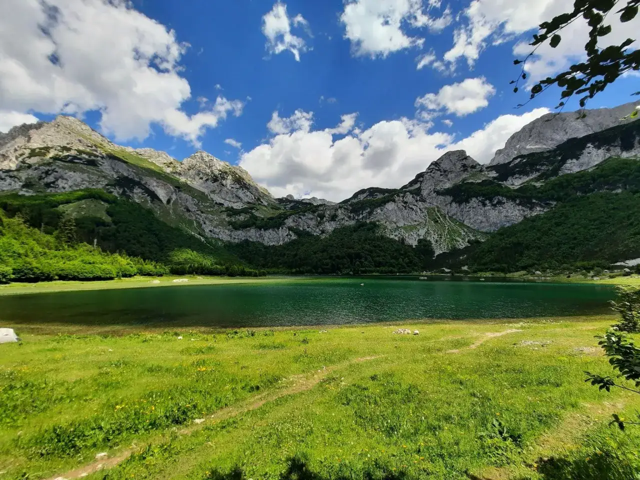 Zielone jezioro otoczone górami w parku narodowym Sutjeska.