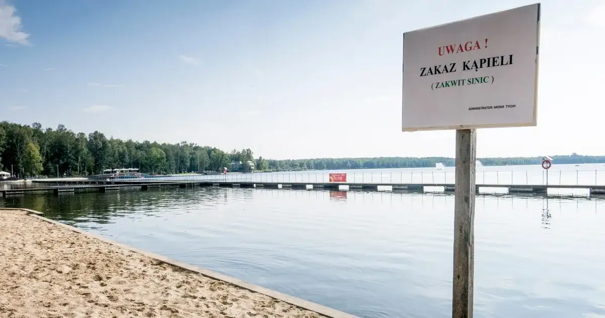 Czy można się kąpać w morzu? Sprawdź zagrożenia i bezpieczeństwo