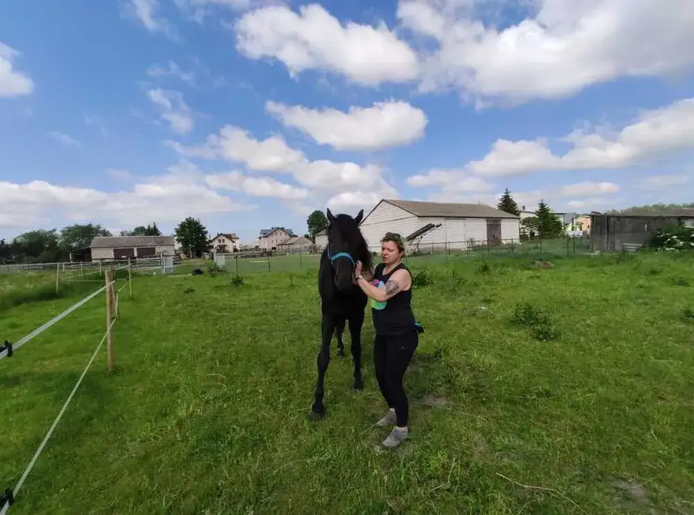 Stajnia Ikona Jeździectwa - odkryj pasję do jeździectwa w Osiecku