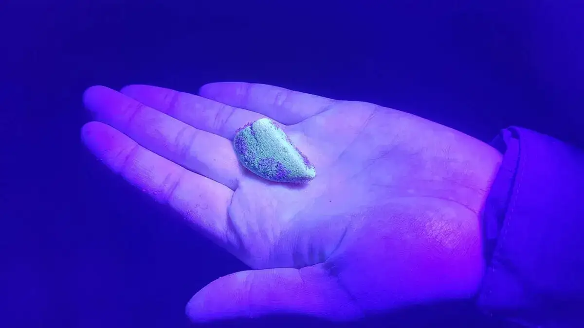 Jak znaleźć bursztyn nad Bałtykiem: sprawdzone metody i najlepsze miejsca