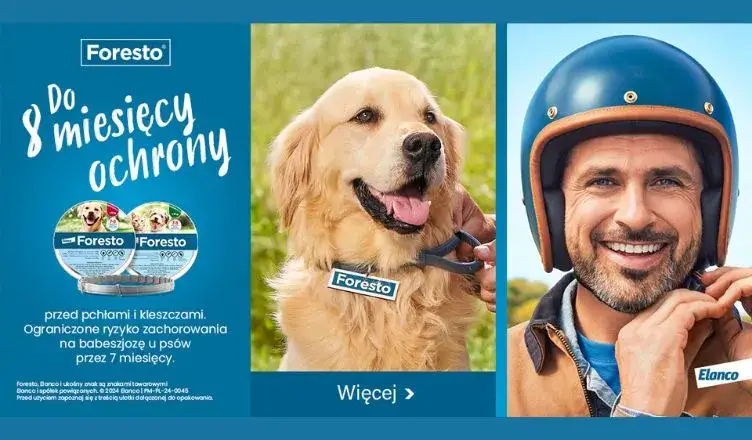 Gdzie kupić obrożę Foresto? Sprawdź najlepsze oferty online