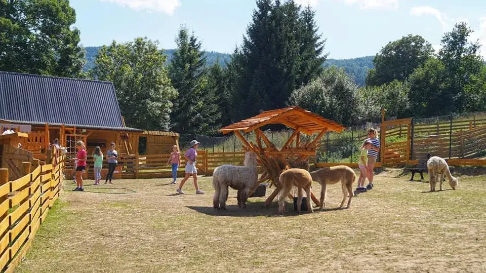 Najlepsze atrakcje w Lądku-Zdroju, które musisz odwiedzić