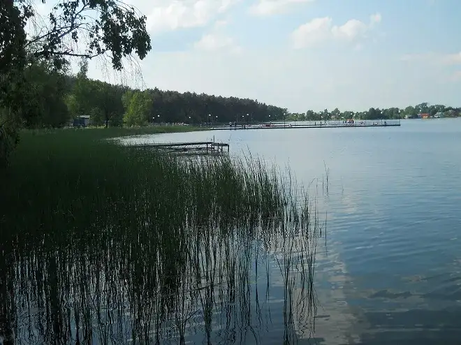 Lubelskie jeziora: Od kurortów po dzikie plaże gdzie na urlop?