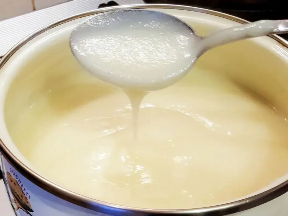 Jak zrobić maść ze smalcu gęsiego, by skutecznie łagodzić ból stawów