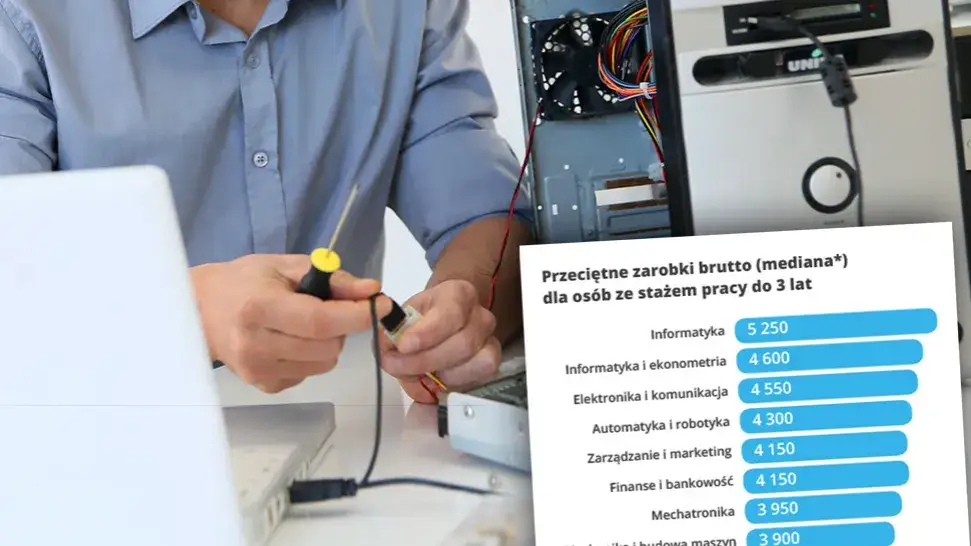 Pierwsza praca po studiach zarobki – co naprawdę możesz zarobić?