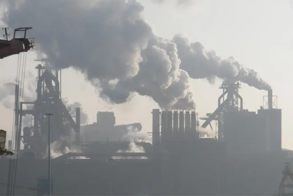 Kiedy powstaje smog i jak uniknąć jego szkodliwego wpływu