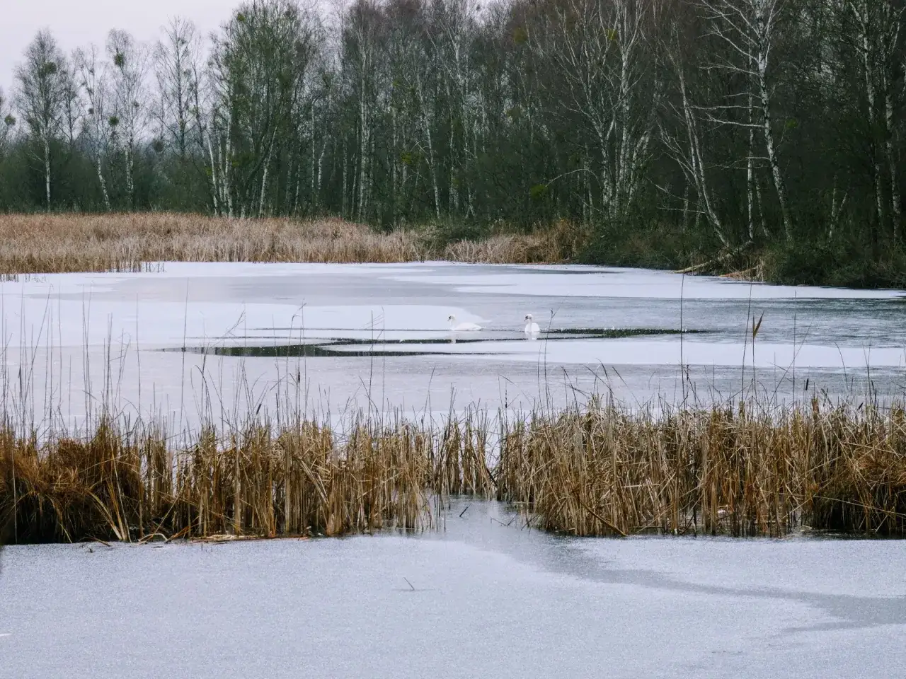 Jezioro Świdwie: Odkryj niezwykłe bogactwo przyrody i atrakcje