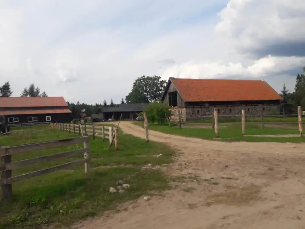 Stadnina koni Mycyny - wyjątkowe miejsce na agroturystyczne przygody