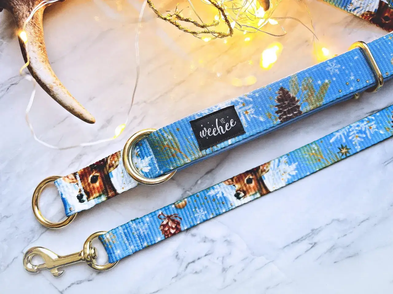 Kiedy obroża dla szczeniaka? Kluczowe wskazówki i porady dotyczące dopasowania