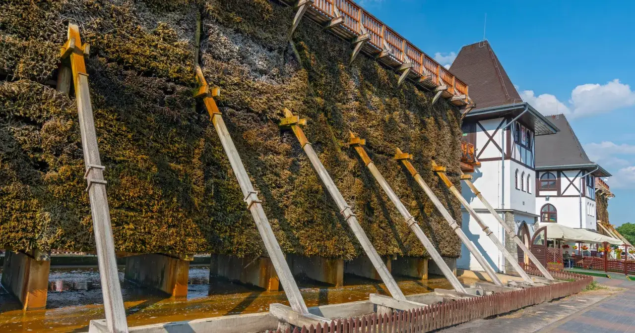 Ile zabiegów w sanatorium NFZ? Prawa i standardy dla seniora