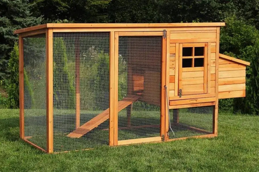 Ile kosztuje budowa kurnika? Szacunkowe wydatki na kurnik przydomowy i przemysłowy