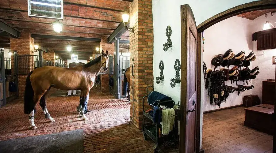 Stadnina koni Zamość - najlepsze oferty i opinie o stajniach
