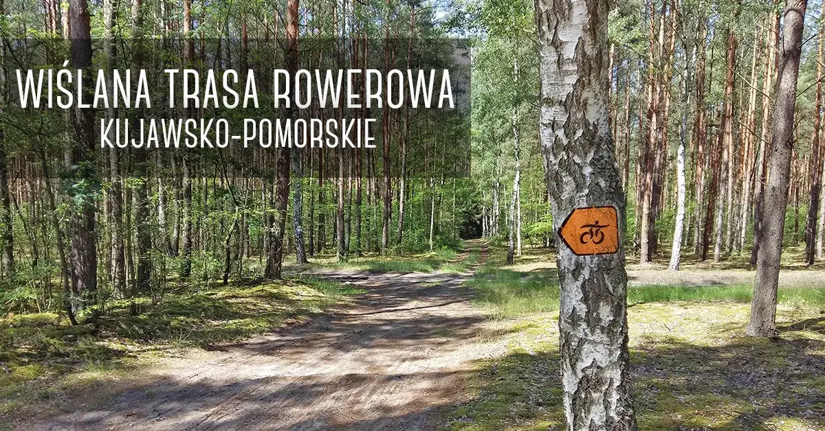 Najlepsze trasy rowerowe kujawsko-pomorskie, które musisz poznać