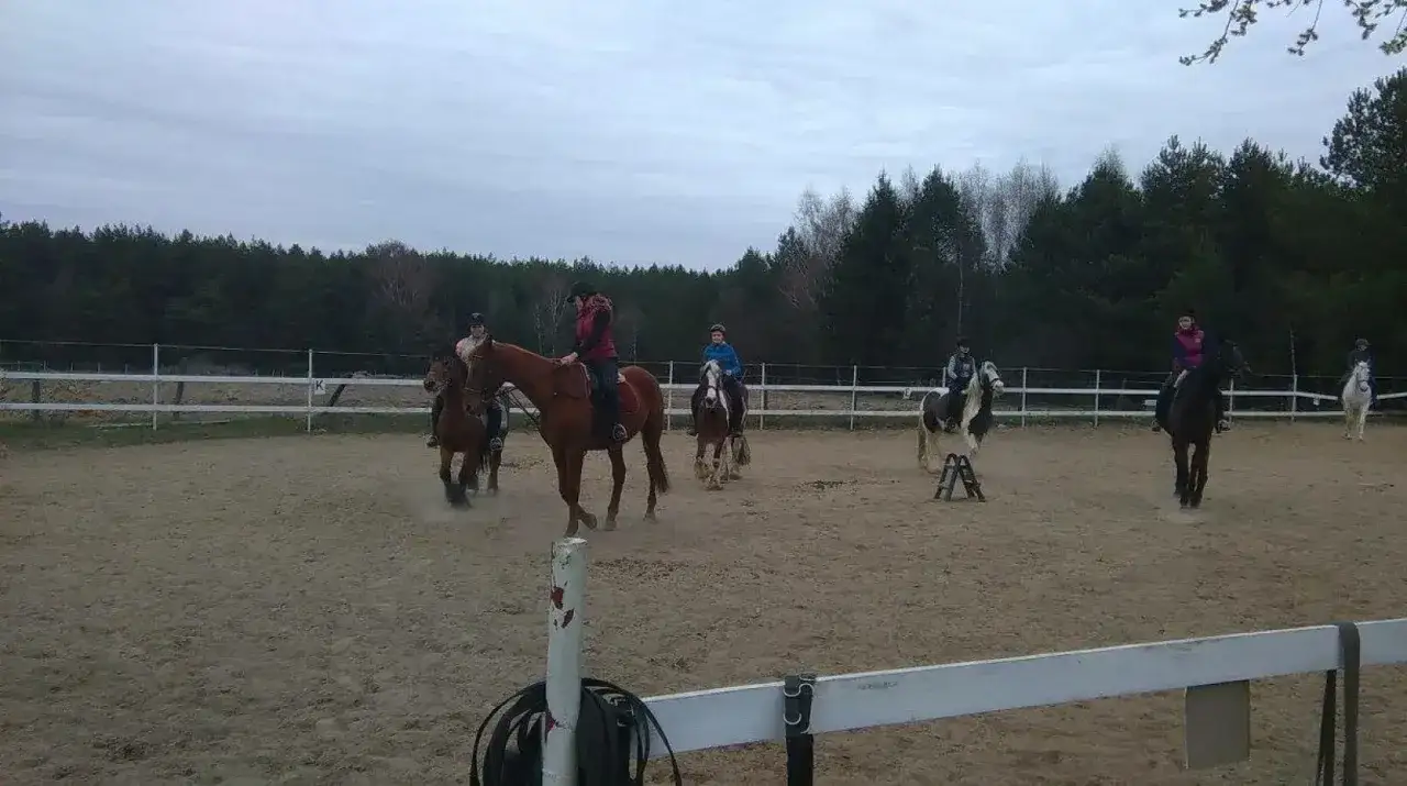 Stadnina koni Białystok: najlepsze miejsca na jazdę i hipoterapię