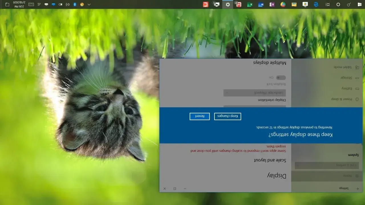 Ustawienia ekranu, jak obrócić ekran w laptopie. Widoczny kotek na tle trawy.