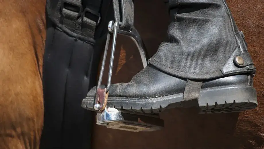 Jak wybrać najlepsze buty do jazdy konnej na początek i uniknąć błędów