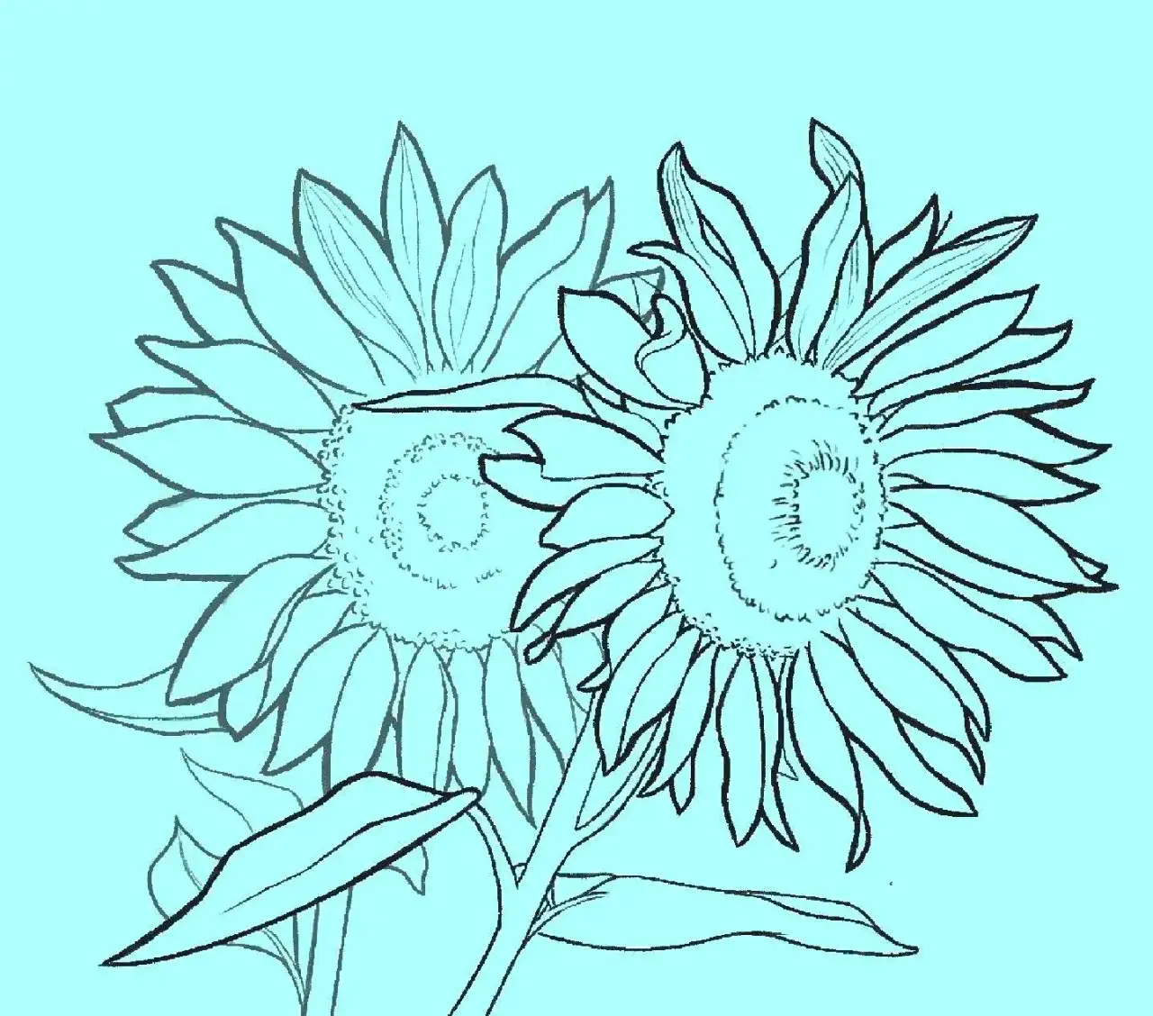 Jak narysować kwiat w prosty sposób - krok po kroku dla każdego