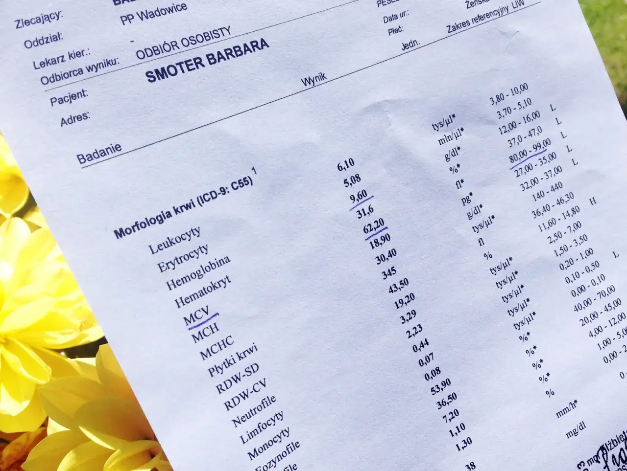 Badania krwi: Klucz do zdrowia? Zrozum swoje wyniki!