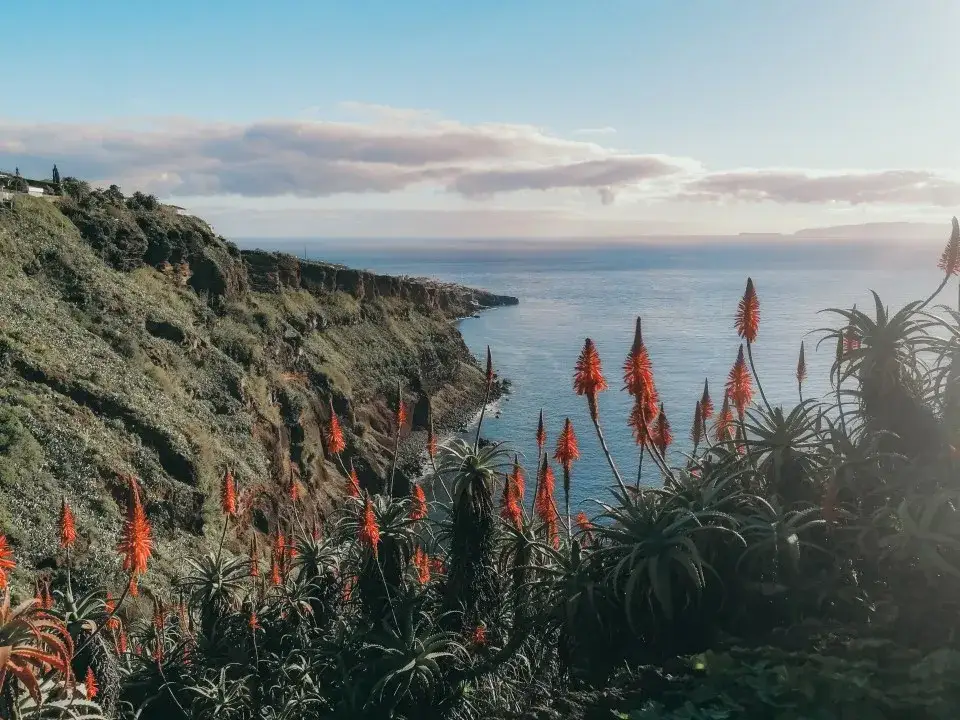 Co możesz oczekiwać od pogody na Maderze w marcu i grudniu podczas wizyty