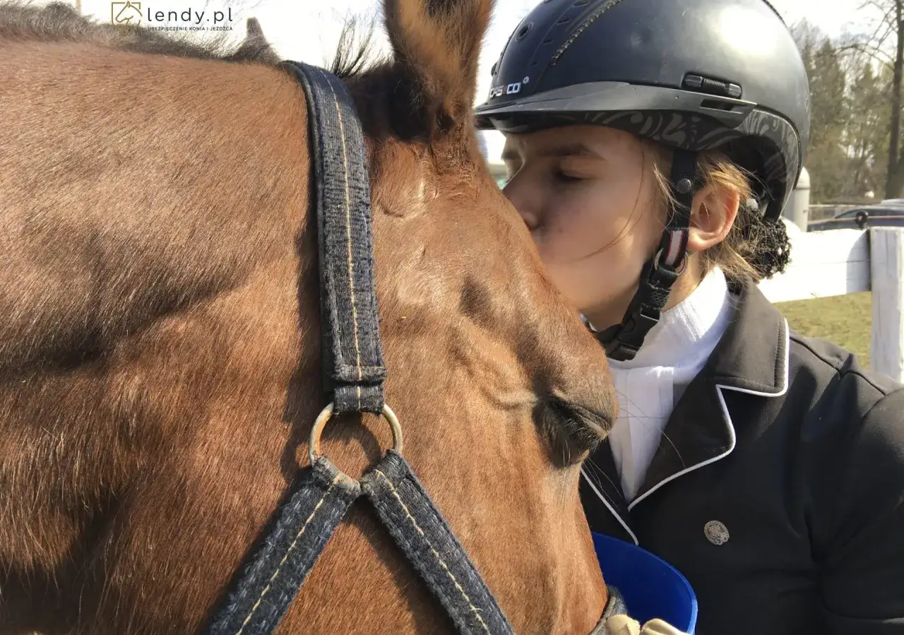 Odznaka Jeżdżę Konno: Jak ją zdobyć? Przewodnik dla początkujących