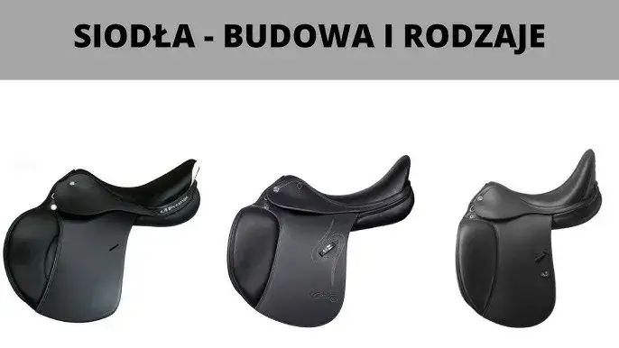 Jak wygląda siodło? Odkryj jego elementy i różnorodność typów
