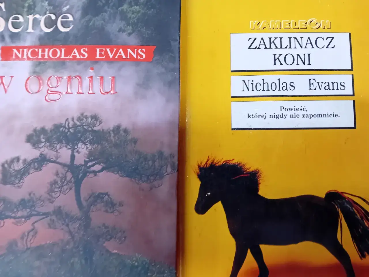 Gdzie obejrzeć "Zaklinacza koni" online? Sprawdź aktualne opcje